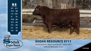 Lot #95 - SODAK RESOURCE 9711 -OUT OF SALE-