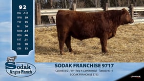Lot #92 - SODAK FRANCHISE 9717