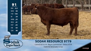 Lot #91 - SODAK RESOURCE 9779