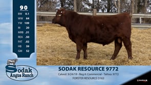 Lot #90 - SODAK RESOURCE 9772