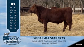 Lot #89 - SODAK ALL STAR 9775