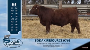 Lot #88 - SODAK RESOURCE 9763