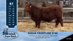 Lot #87 - SODAK FRONTLINE 9746
