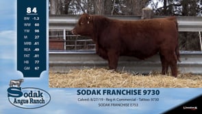 Lot #84 - SODAK FRANCHISE 9730
