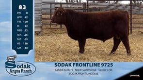 Lot #83 - SODAK FRONTLINE 9725