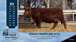 Lot #82 - SODAK FRONTLINE 9712