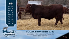 Lot #80 - SODAK FRONTLINE 9733
