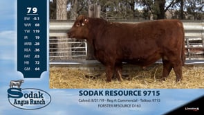 Lot #79 - SODAK RESOURCE 9715