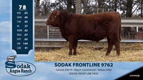 Lot #78 - SODAK FRONTLINE 9762