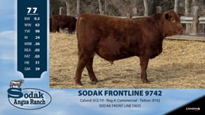 Lot #77 - SODAK FRONTLINE 9742
