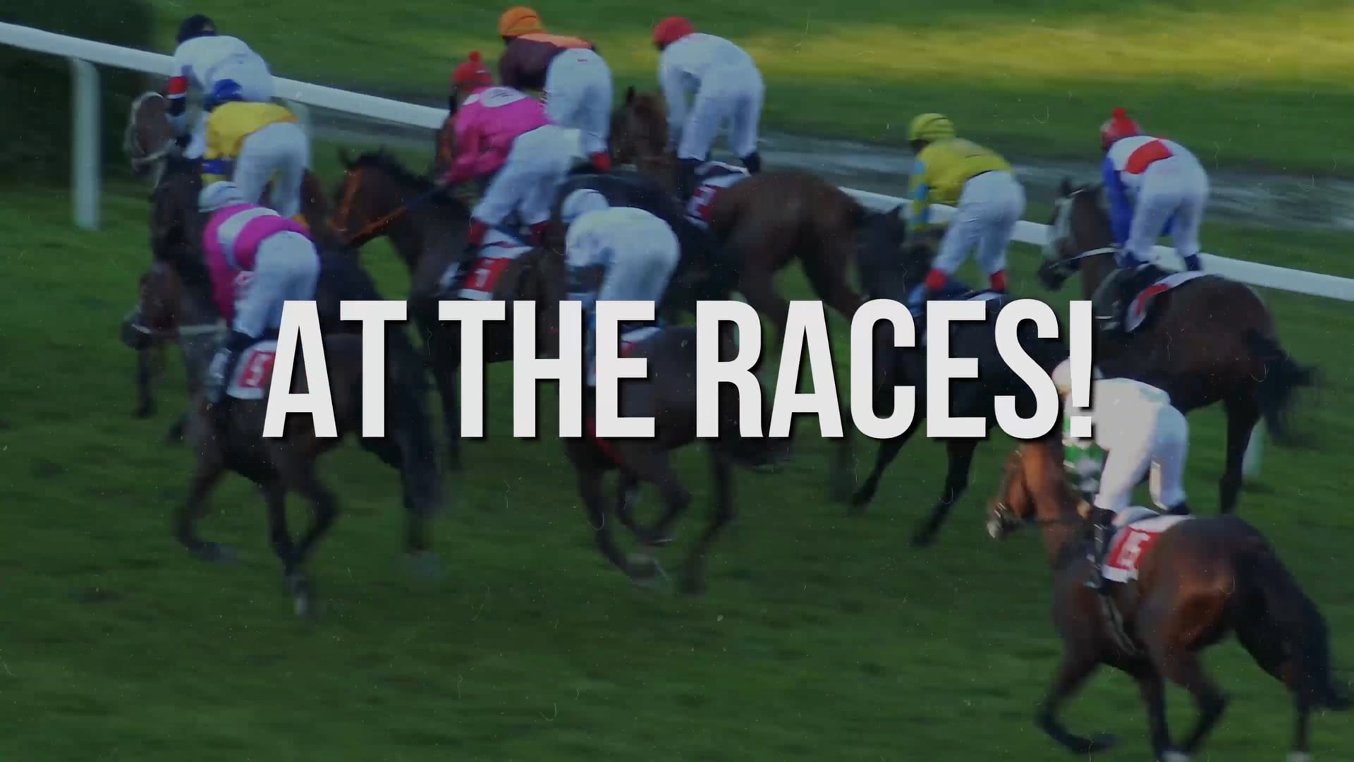 Virtual Night at the Races