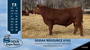 Lot #75 - SODAK RESOURCE 9702