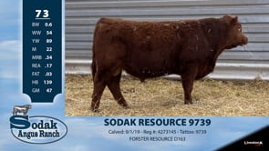 Lot #73 - SODAK RESOURCE 9739