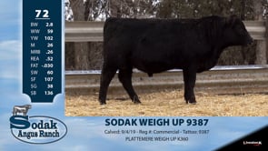 Lot #72 - SODAK WEIGH UP 9387