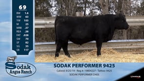 Lot #69 - SODAK PERFORMER 9425