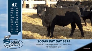 Lot #67 - SODAK PAY DAY 9374