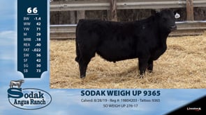 Lot #66 - SODAK WEIGH UP 9365
