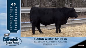 Lot #65 - SODAK WEIGH UP 9356