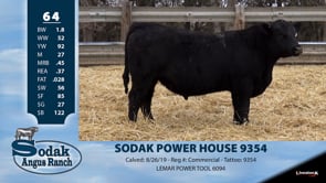 Lot #64 - SODAK POWER HOUSE 9354