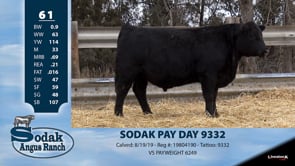 Lot #61 - SODAK PAY DAY 9332