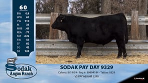 Lot #60 - SODAK PAY DAY 9329 -OUT OF SALE-