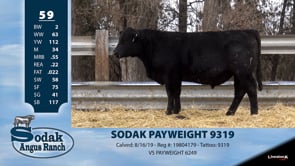 Lot #59 - SODAK PAYWEIGHT 9319