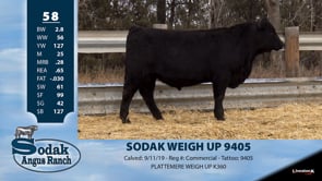 Lot #58 - SODAK WEIGH UP 9405