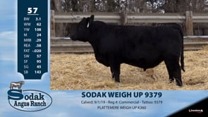 Lot #57 - SODAK WEIGH UP 9379