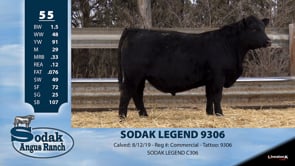 Lot #55 - SODAK LEGEND 9306