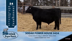 Lot #54 - SODAK POWER HOUSE 9434