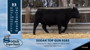Lot #53 - SODAK TOP GUN 9393