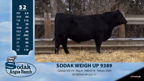 Lot #52 - SODAK WEIGH UP 9389