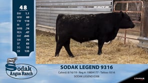 Lot #48 - SODAK LEGEND 9316