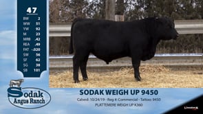 Lot #47 - SODAK WEIGH UP 9450