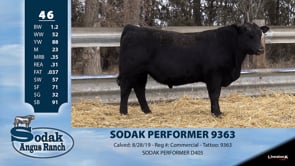Lot #46 - SODAK PERFORMER 9363
