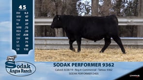 Lot #45 - SODAK PERFORMER 9362