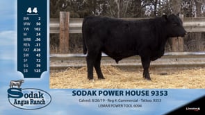 Lot #44 - SODAK POWER HOUSE 9353