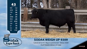 Lot #43 - SODAK WEIGH UP 9309