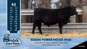 Lot #42 - SODAK POWER HOUSE 9428
