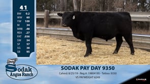 Lot #41 - SODAK PAY DAY 9350