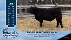Lot #38 - SODAK PERFORMER 9404
