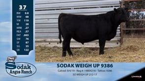 Lot #37 - SODAK WEIGH UP 9386