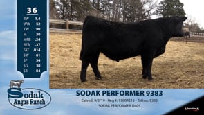 Lot #36 - SODAK PERFORMER 9383