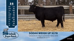Lot #35 - SODAK WEIGH UP 9378