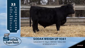 Lot #33 - SODAK WEIGH UP 9361
