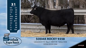 Lot #31 - SODAK ROCKY 9358