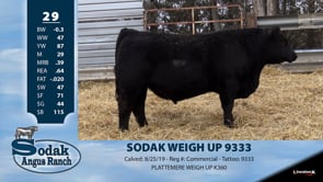 Lot #29 - SODAK WEIGH UP 9333