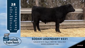 Lot #28 - SODAK LEGENDARY 9331