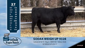 Lot #27 - SODAK WEIGH UP 9328
