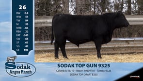 Lot #26 - SODAK TOP GUN 9325